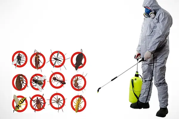 Fumigation Services